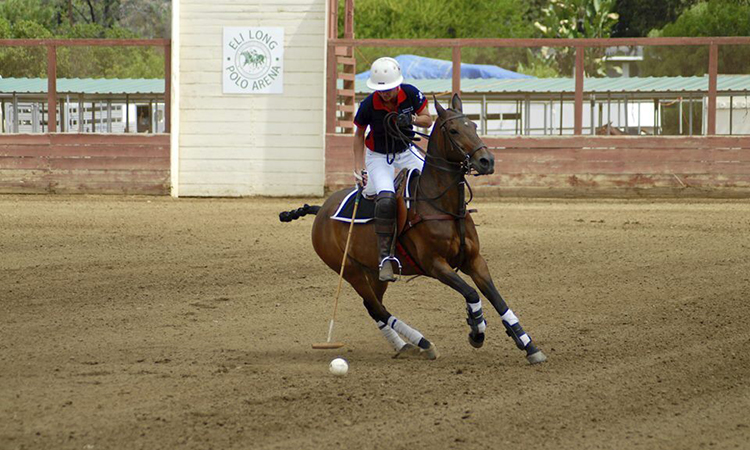 KPSOM Faculty Member Dr. Kirsten Ludwig playing polo prior to her life-changing accident.
